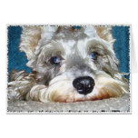 DOD: Mini German Schnauzer So Cute Cards