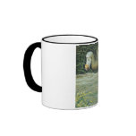 Dodo Bird Antique Print mugs