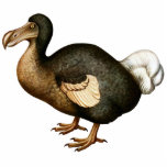 Dodo Cutout Magnet/Sculpture photo sculptures