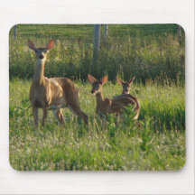 Doe With Fawns Mousemats