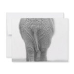 Does my bum look big invitations