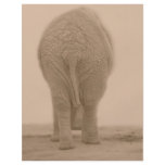 does my bum look big sepia flyers