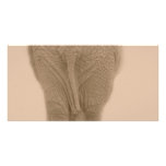 does my bum look big sepia photo cards