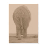 does my bum look big sepia postcards