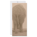 does my bum look big sepia rack cards