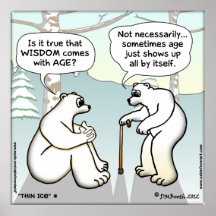 DOES WISDOM COME WITH AGE POSTER