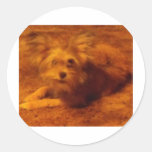 Dog6 Round Sticker