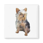 Dog 4 A  Magnet