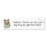 Dog 4, B, Yorkshire Terrier Bumper Sticker