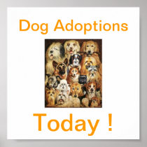Dog Adoptions Today Signs