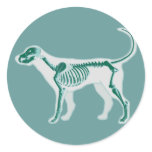 DOG ANATOMY X-RAY BONES stickers