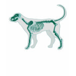 DOG ANATOMY X-RAY VET BONES t-shirts