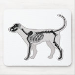 DOG ANATOMY X-RAY VET mousepads