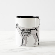 DOG ANATOMY X-RAY VET MUG