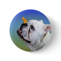 Dog and butterfly