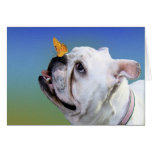 Dog and butterfly cards