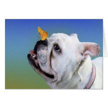 Dog and butterfly greeting cards