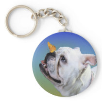 Dog and butterfly
