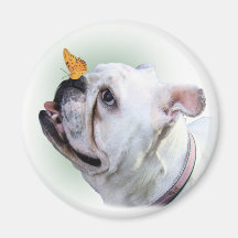 Dog and Butterfly Magnets