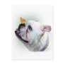 Dog and Butterfly Postcard