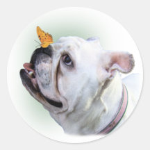 Dog and Butterfly Round Sticker