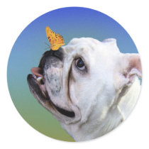 Dog and butterfly