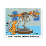Dog And Cat  In Museum See Dinosaur Skeleton postcards