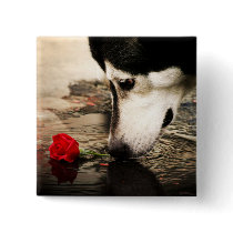 Dog and Red Rose Button