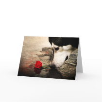 Dog and Red Rose Gift Card