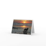 Dog Beach cards