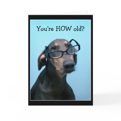 Dog birthday funny greeting card