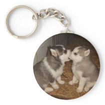 dog biting dogs mouth key chains