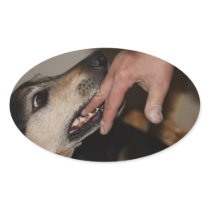Dog biting finger stickers
