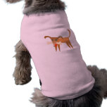 Dog & Bone pet clothing