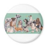 Dog Breed Diversity magnets