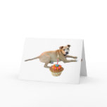 Dog Cake Birthday Card