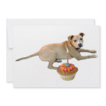 Dog Cake Birthday Invitation