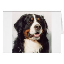 Dog Cards