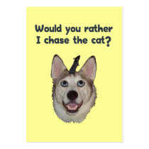Dog Cat Mouse