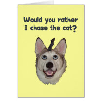 Dog Cat Mouse