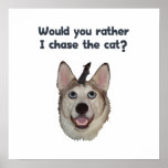 Dog Cat Mouse posters