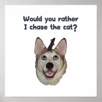 Dog Cat Mouse