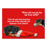 Dog Christmas Card - Where did the hat come from?