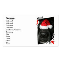 Dog Christmas hat on nose, black lab mix canine Business Card