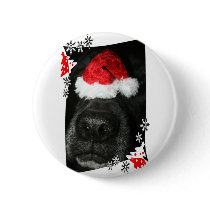 Dog Christmas hat on nose, black lab mix canine