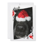 Dog Christmas hat on nose, black lab mix canine invitations