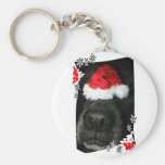 Dog Christmas hat on nose, black lab mix canine Keychains