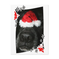 Dog Christmas hat on nose, black lab mix canine