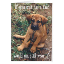 dog coat cards
