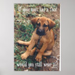 dog coat posters
